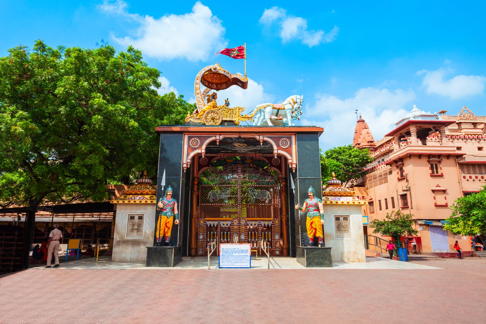 Favorite Packages Image